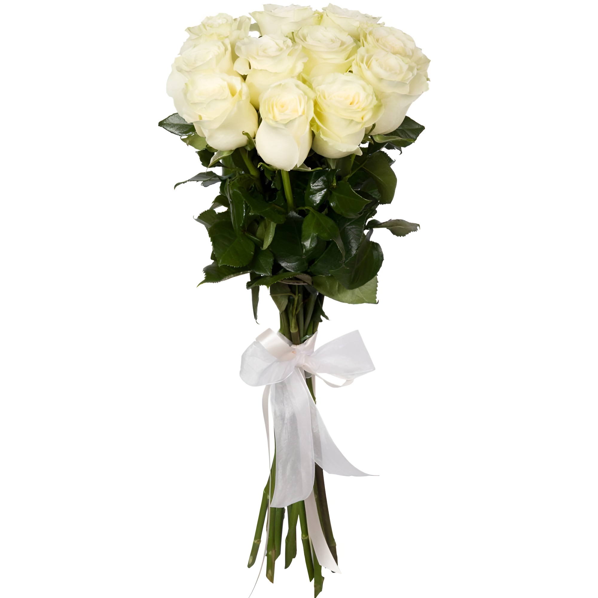 Букет из 3 белых роз 60 см с лентой, Эквадор